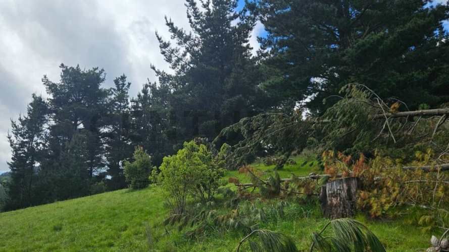Cabaña con Parcela solo a 5 KM de Temuco sector Monteverde