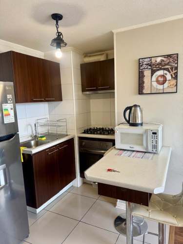 DEPARTAMENTO COLO-COLO # 933