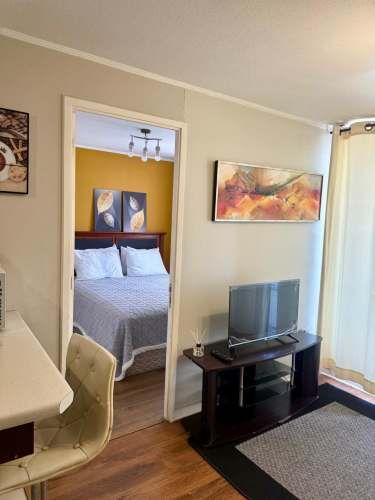 DEPARTAMENTO COLO-COLO # 933