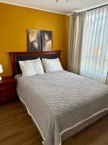 DEPARTAMENTO COLO-COLO # 933