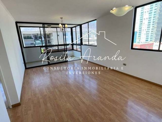 Amplio Depto. Bellavista, Cercano A Universidad Santo Tomás