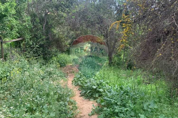 Parcela de 1 ha en olmué con vista a la campana