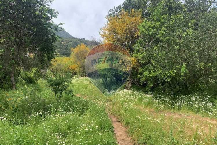 Parcela de 1 ha en olmué con vista a la campana