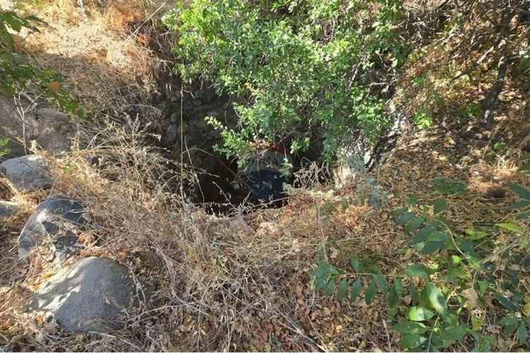 Parcela de 1 ha en olmué con vista a la campana