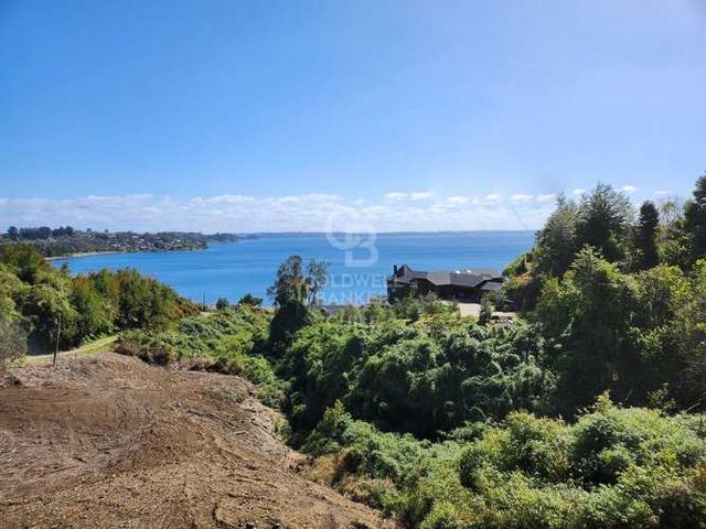 Sitio con bajada al lago Ruta 225