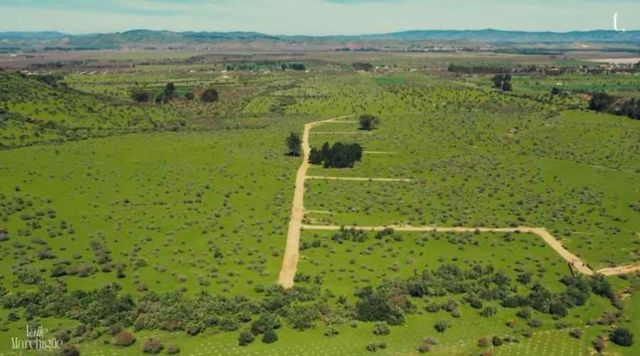 PARCELAS EN VALLE MARCHIGUE DE 5000M2 CON ROL PROPIO.