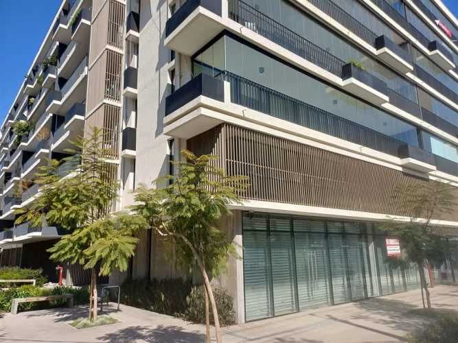 LOCAL COMERCIAL Eliodoro Yáñez