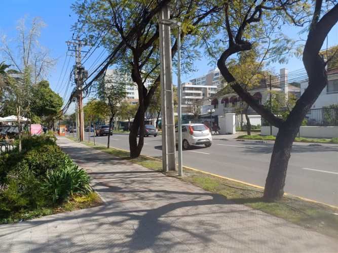 LOCAL COMERCIAL Eliodoro Yáñez