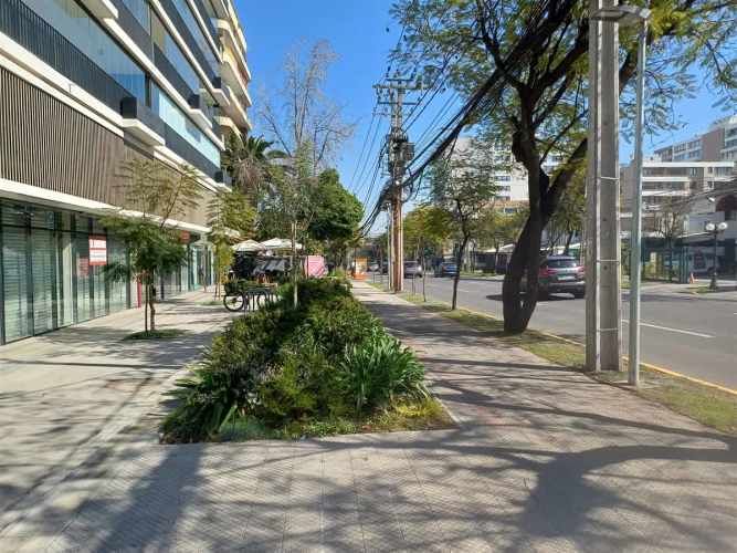 LOCAL COMERCIAL Eliodoro Yáñez