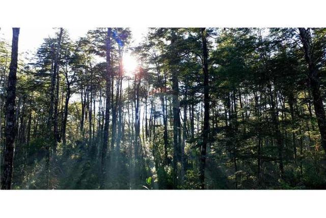 Remax vende parcelas bosques de rinconada - pucon