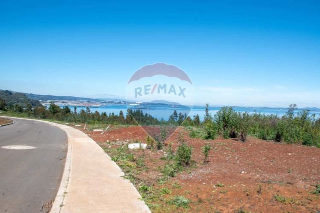 Venta de lotes proyecto tomé