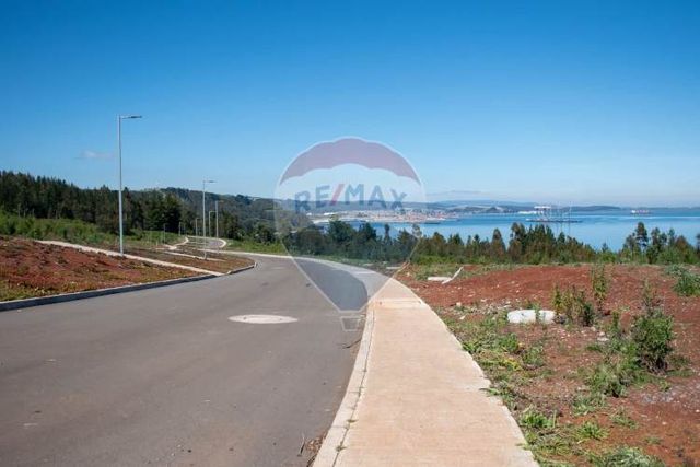 Venta de lotes proyecto tomé