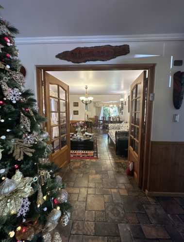 PARCELA Km. 9 camino a Coihueco