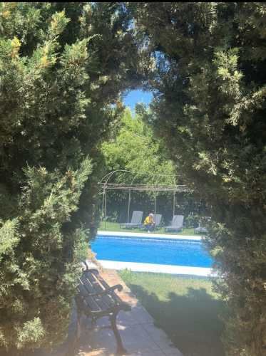 PARCELA Km. 9 camino a Coihueco