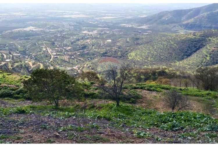 Parcela 5.000 m2 san pedro