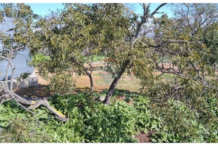 Parcela 5.000 m2 san pedro