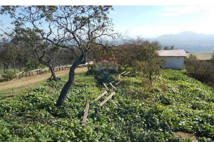 Parcela 5.000 m2 san pedro