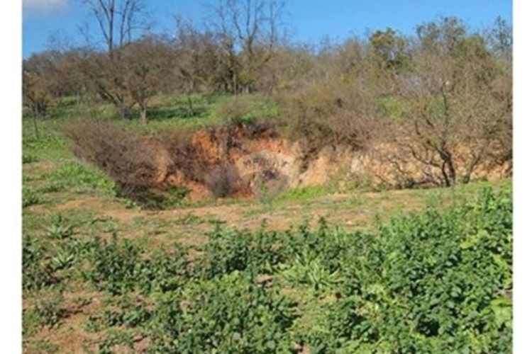 Parcela 5.000 m2 san pedro