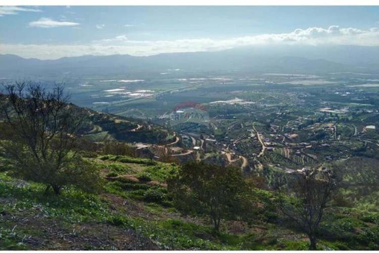 Parcela 5.000 m2 san pedro