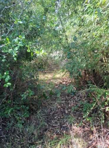 PARCELA CHAQUIHUAL LOTE 149