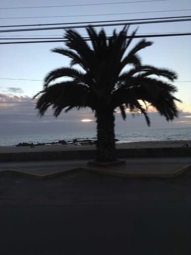 Ayudante de Jardinero