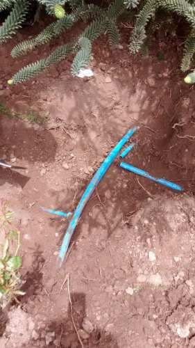 Ayudante de Jardinero