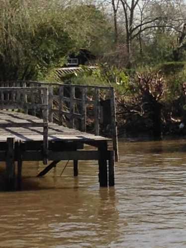 Ayudante de Jardinero