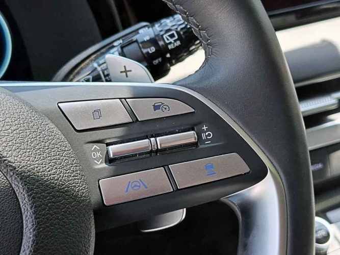 HYUNDAI PALISADE 2024