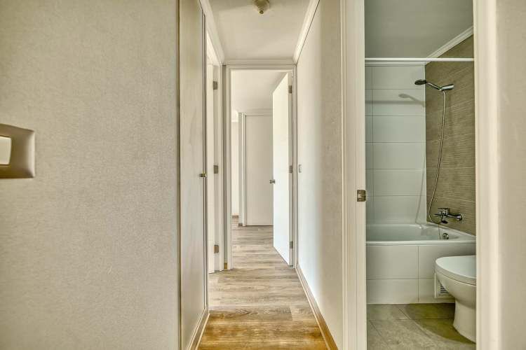 Activa Vicuña Macken [2507-4]