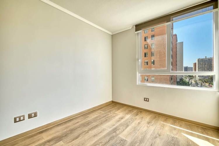 Activa Vicuña Macken [2507-4]