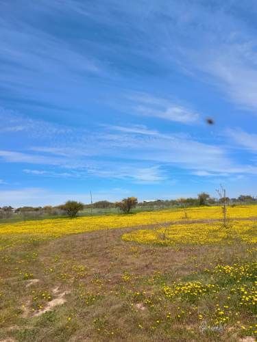 VENTA DE TERRENO CON CASA AMOBLADA
