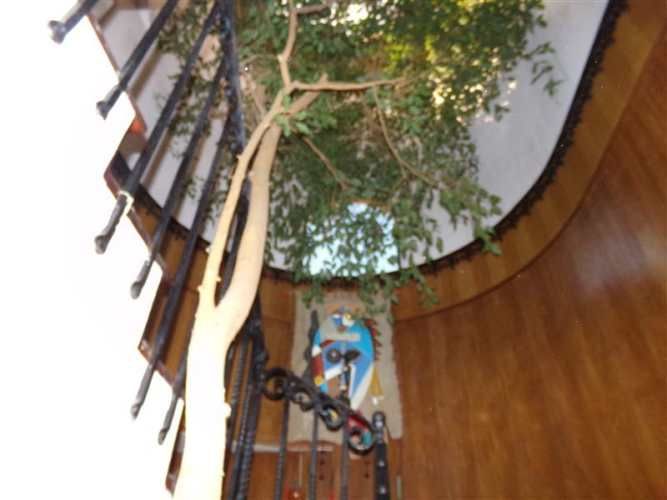 PARCELA CASI CON CALLE LAS DIEZ CUADRAS