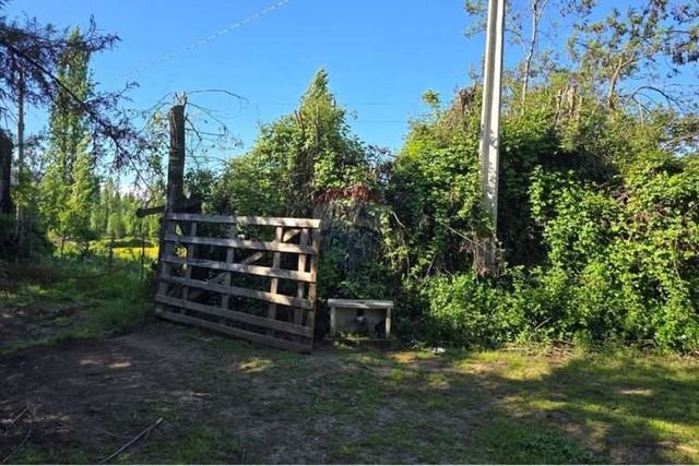 Gran terreno agrícola en san clemente, maule