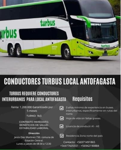 Conductor de buses local Antofagasta