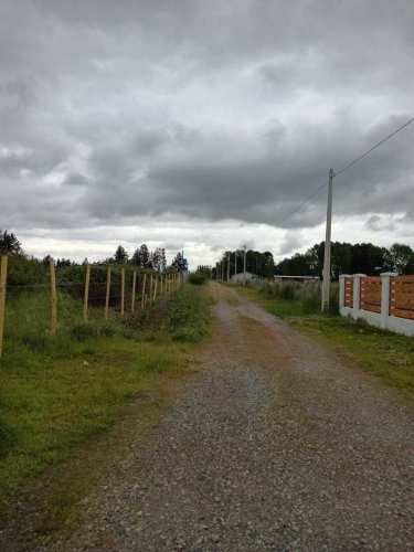 Oportunidad parcela Quillon (125889)