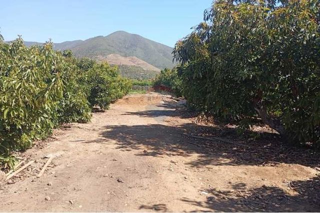 Gran oportunidad de inversión en quillota la palma