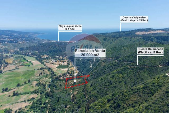 Hermosa parcela flora y fauna nativa