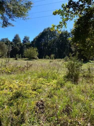 PARCELA HERMOSA PARCELA A LA VENTA CON ACCESO A RIO ENTORNO NATURAL