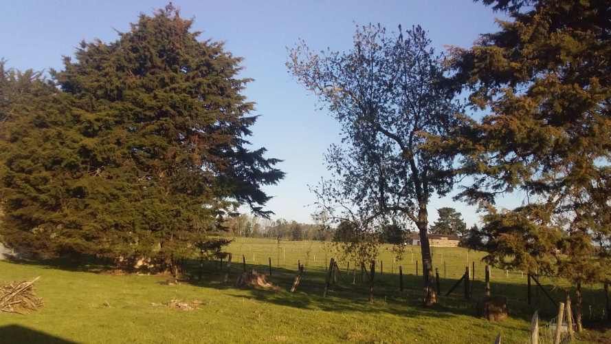 PARCELA CON CASA EN LAS QUEMAS