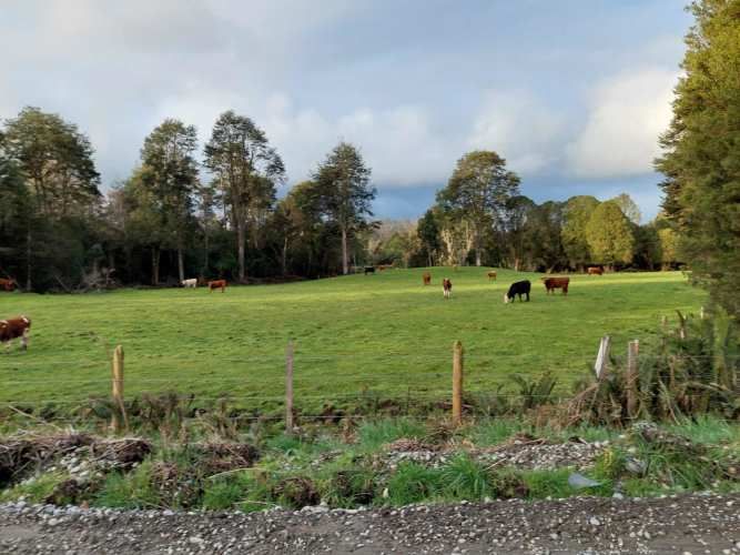 PARCELA CON CASA EN LAS QUEMAS