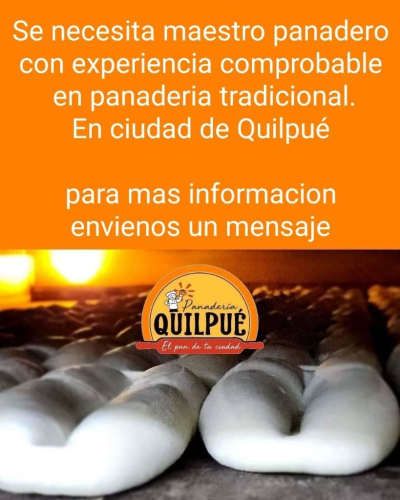 Maestro Panadero Noche