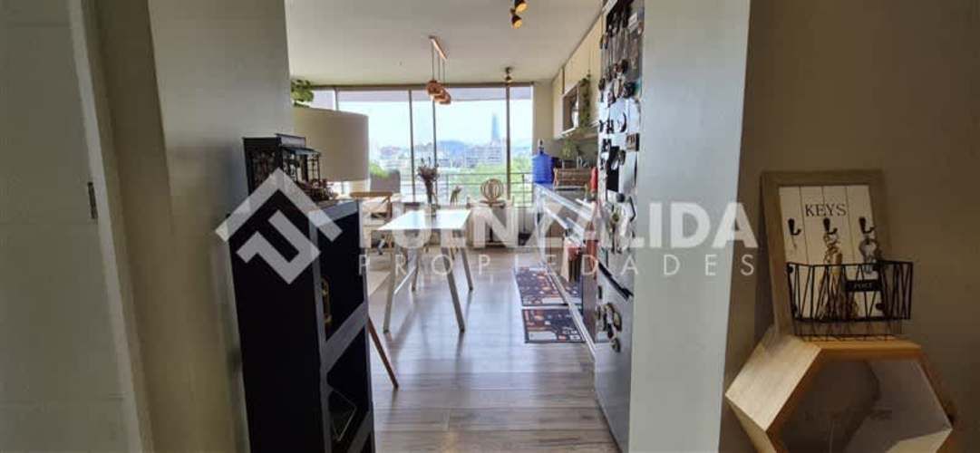 DEPARTAMENTO Los Leones