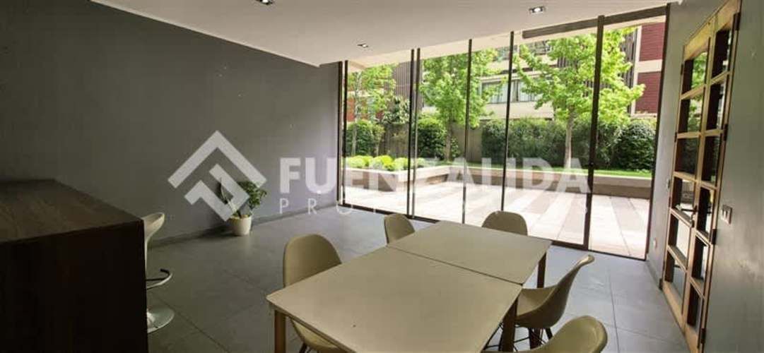 DEPARTAMENTO Los Leones