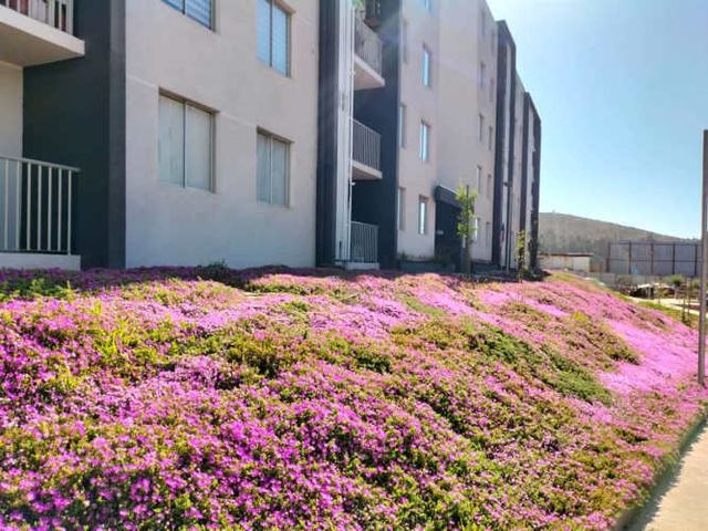 DEPARTAMENTO SCL_72824Bellavista, Condominio Los Maitenes La Florida