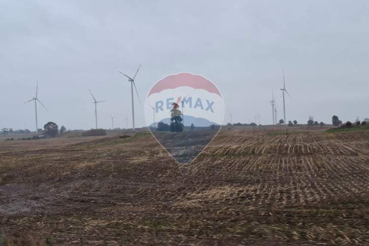 Vende parcela en condominio raices de puerto octay