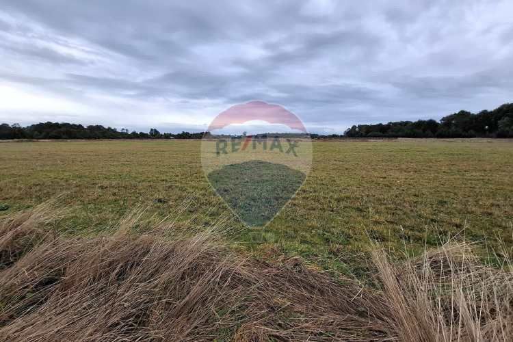 Vende parcela en condominio raices de puerto octay