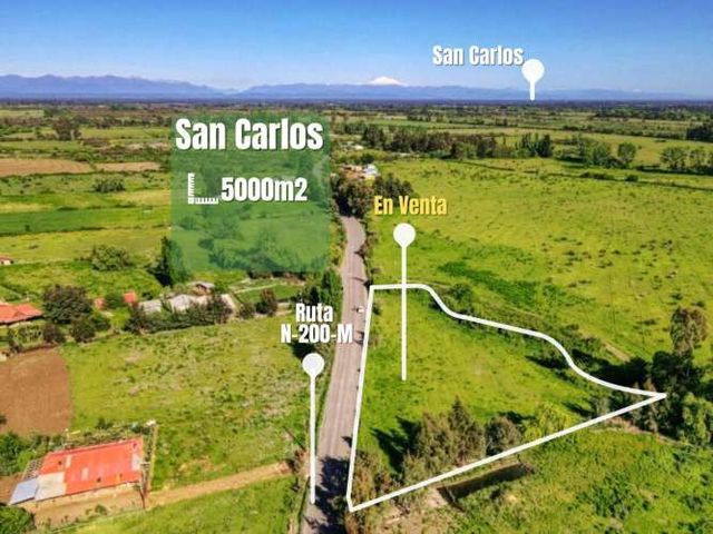Parcela en venta en San Carlos, Orilla de Camino Gran Frente