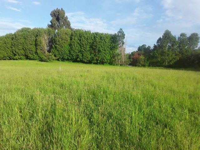 1 HÁ EN LAS QUEMAS A 89 MILLONES