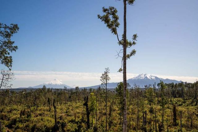 Parcela en Puerto Montt a pasos del área urbana