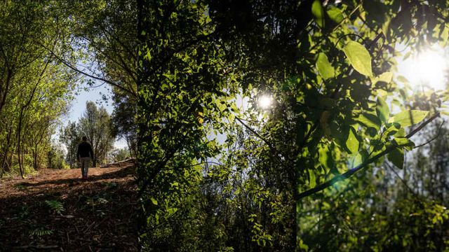 Parcela en Puerto Montt a pasos del área urbana